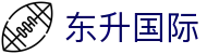 东升国际 - 东升国际官网 - 安全网址导航